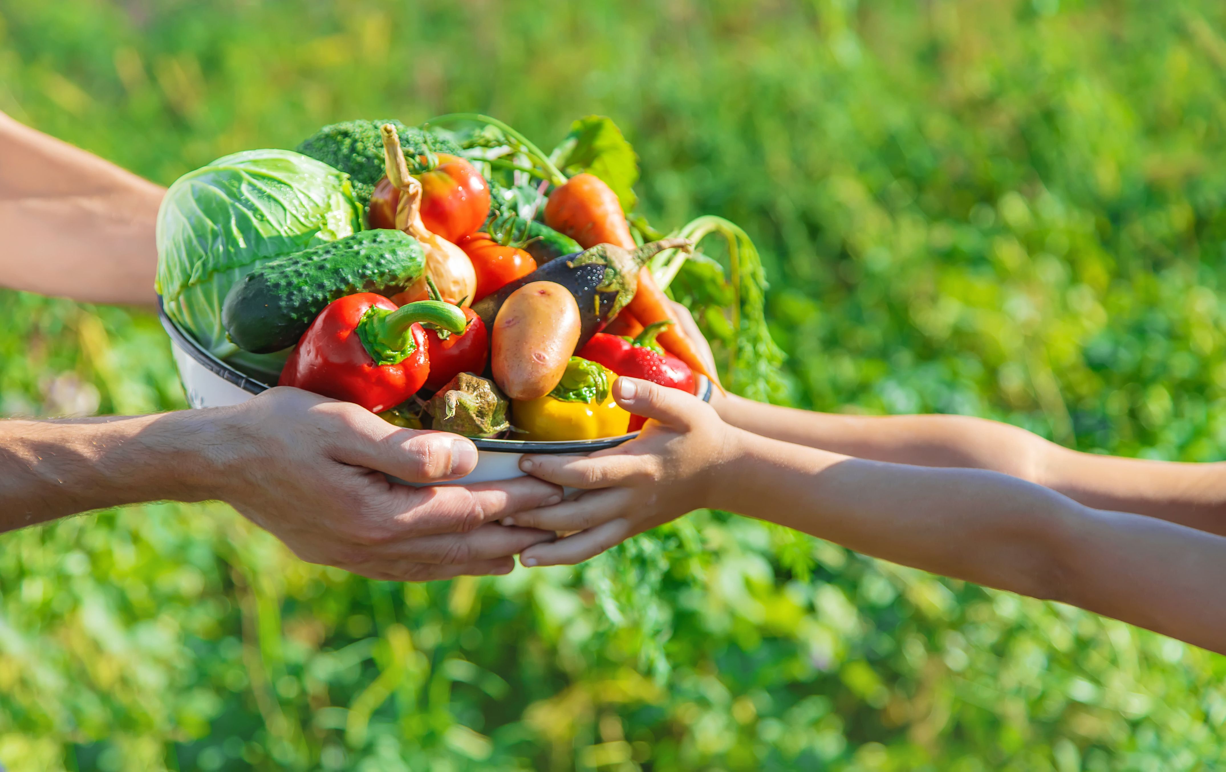 Your Image Description